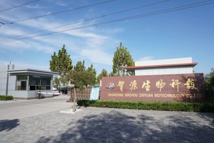 環糊精 倍他環糊精 智源生物.jpg