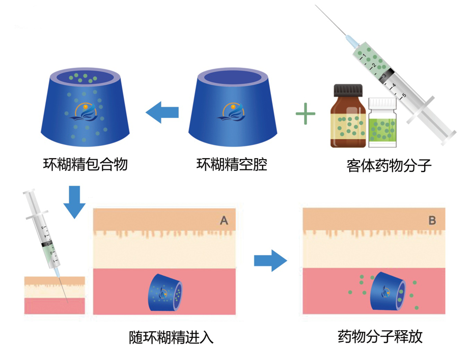 API制藥家線上課程-環糊精衍生物特性及其在藥物中的應用(圖3) API制藥家線上課程-環糊精衍生物特性及其在藥物中的應用(圖3)